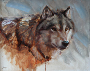 Grey Wolf portrait