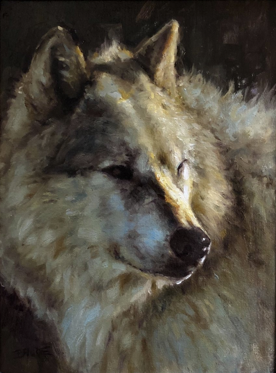 White wolf portrait