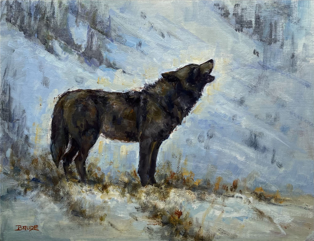 Winter in Yellowstone