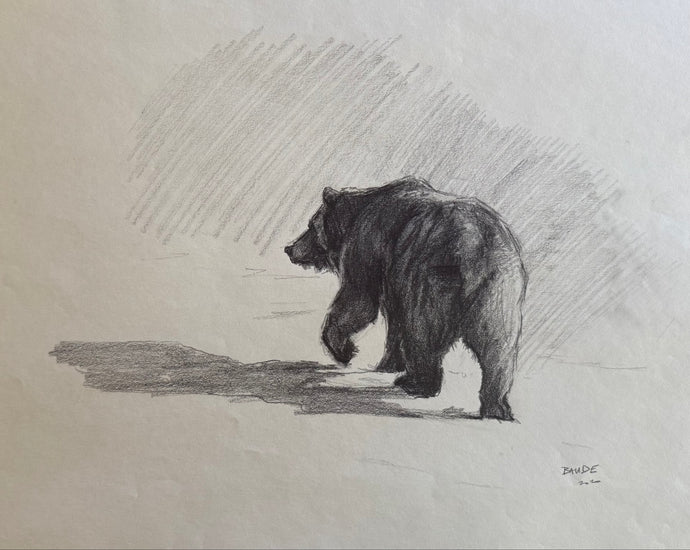 Grizzly Study — Original Drawing (2025)