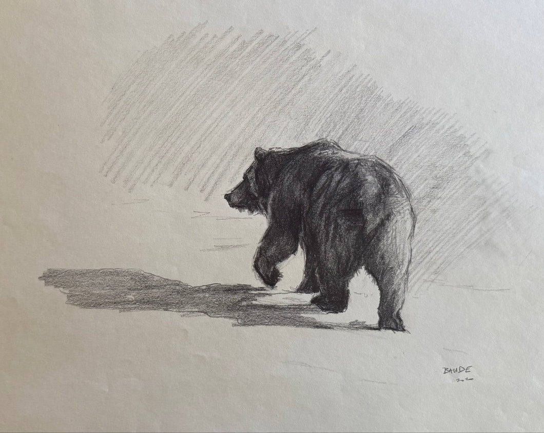 Grizzly Study — Original Drawing (2025)
