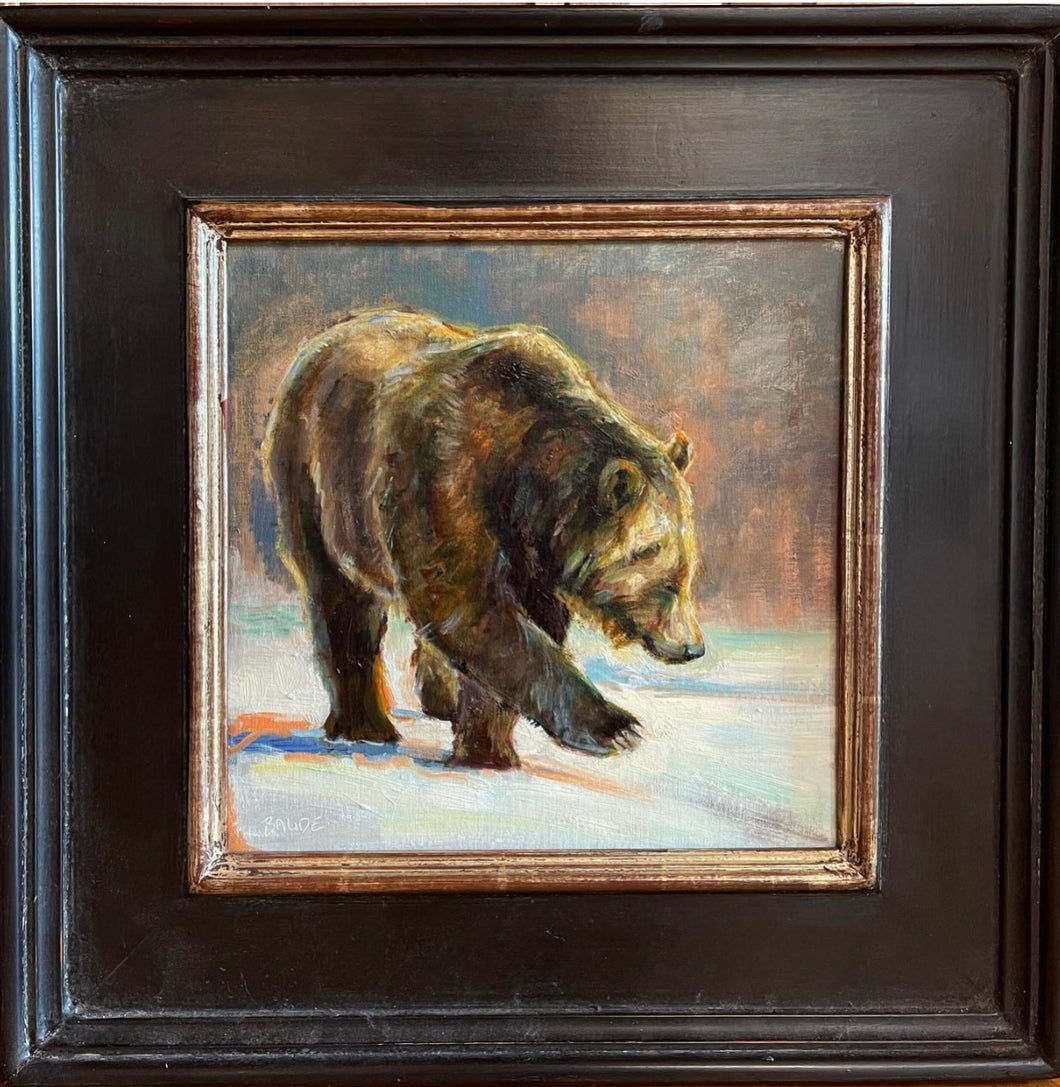Grizzly in motion - study -12x12