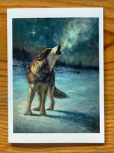 Load image into Gallery viewer, Spirit of the North cards set