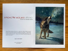 Load image into Gallery viewer, Spirit of the North