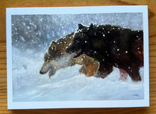 Load image into Gallery viewer, Spirit of the North cards set