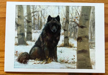 Load image into Gallery viewer, Safe Haven