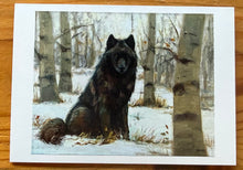 Load image into Gallery viewer, Spirit of the North cards set