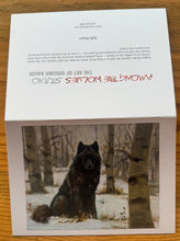 Load image into Gallery viewer, Safe Haven