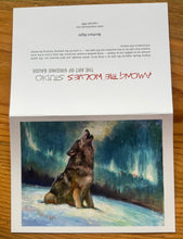 Load image into Gallery viewer, Northern Night