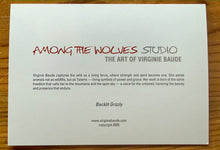 Load image into Gallery viewer, Backlit Grizzly