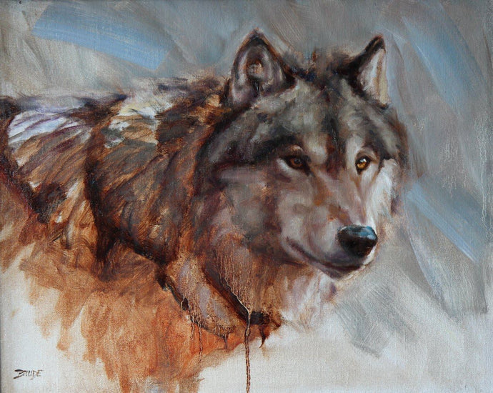Gray wolf Portrait