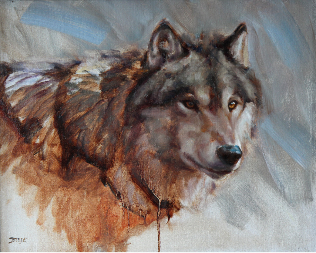 Grey Wolf Portrait - 16x20 - oil on linen