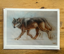 Load image into Gallery viewer, The Traveller