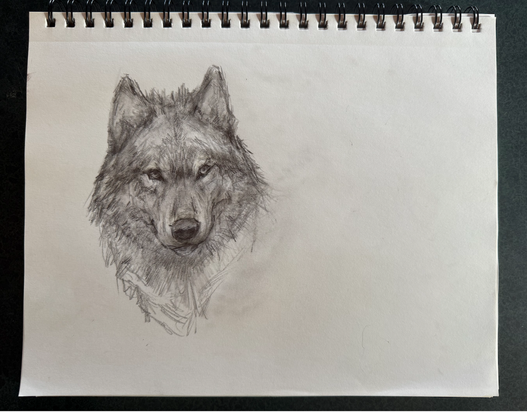Wolf spirit Drawing - 9x12