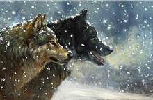 Load image into Gallery viewer, Two Hearts Beat as One