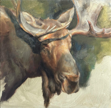 Load image into Gallery viewer, Bull Moose close up - 12x12