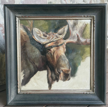 Load image into Gallery viewer, Bull Moose close up - 12x12