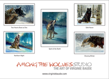 Load image into Gallery viewer, Spirit of the North cards set