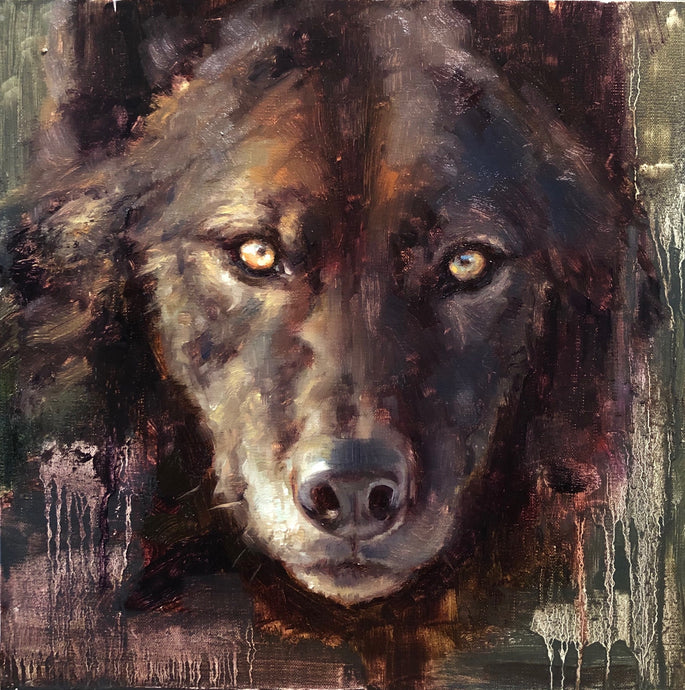 Black wolf close up portrait - 12x12