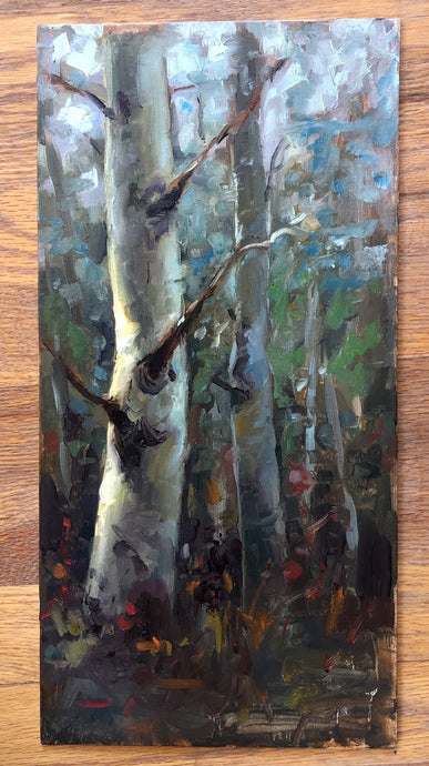 Aspen grove study 8x16