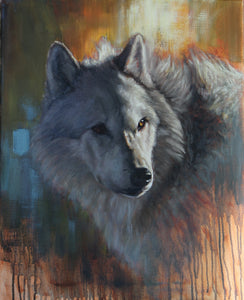 Grey Wolf portrait I