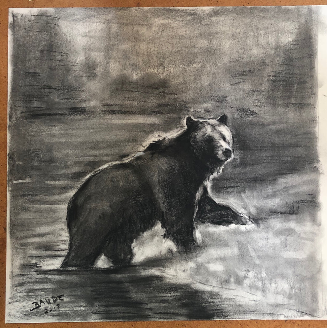 Grizzly charcoal drawing - 14x14