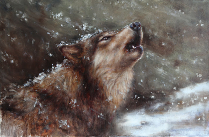 Howl in the storm