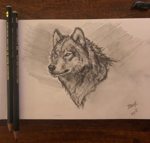 Wolf drawing  portrait - 5.5x8.25