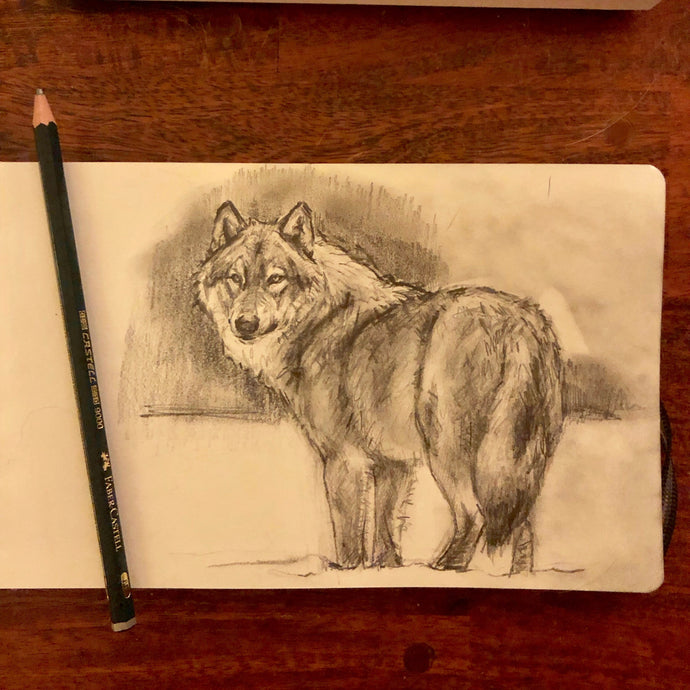 Wolf drawing - Standing gesture - 5.5x8.25