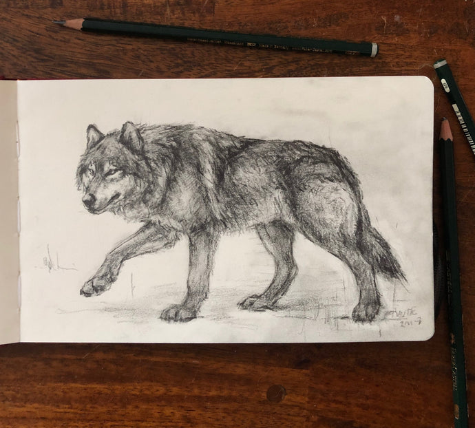 Wolf drawing - 5.5x8.25