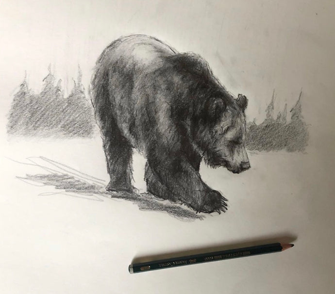 Grizzly steps drawing - 11x14