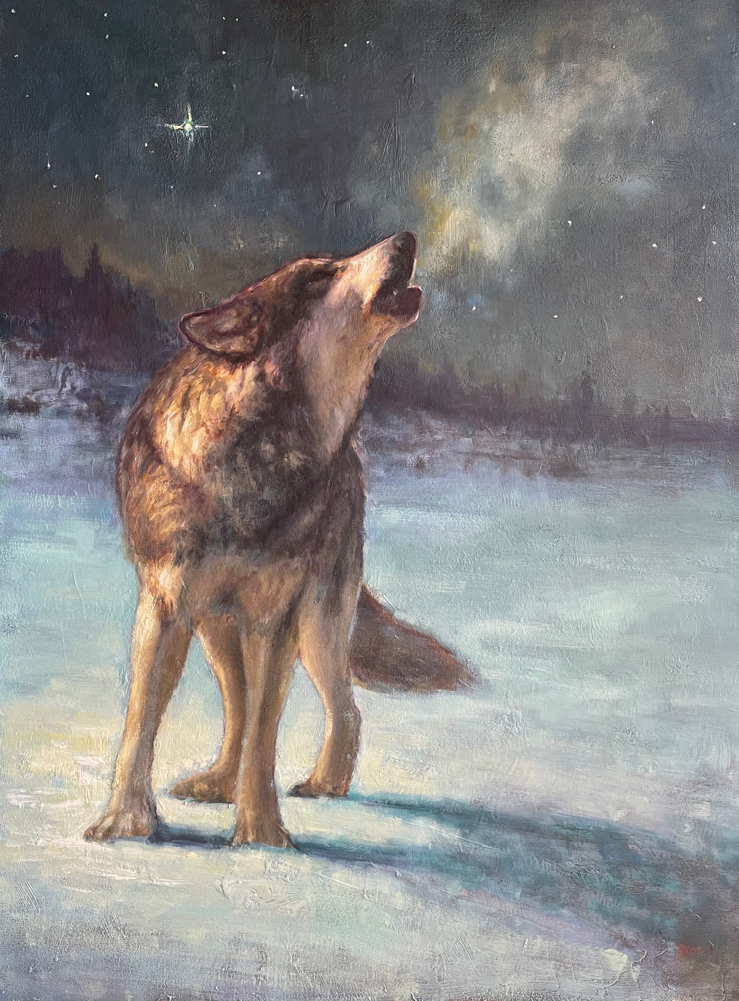 Spirit of The North - 30x40