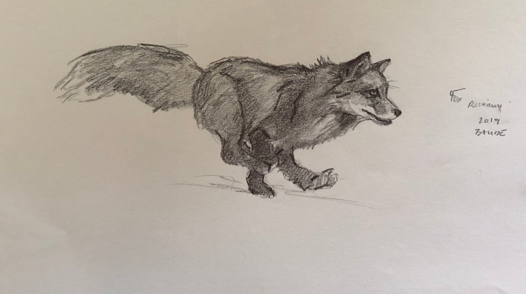 Original fox Sketch - running - 6x12
