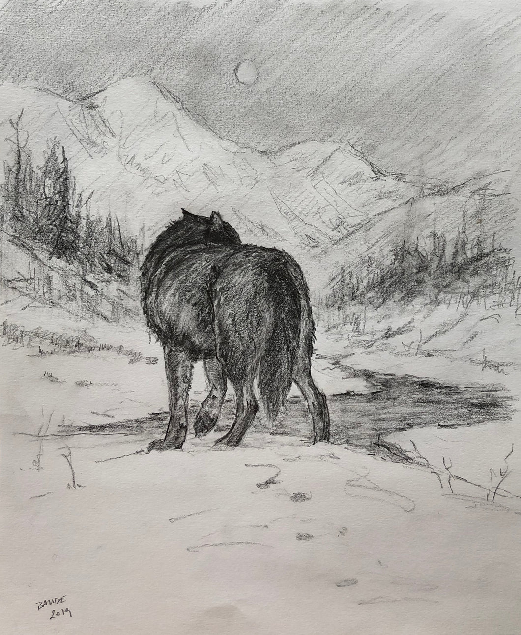 Original Drawing - Wolf in wilderness - 9.5x11