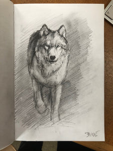 Wolf in motion sketch 7.5x5