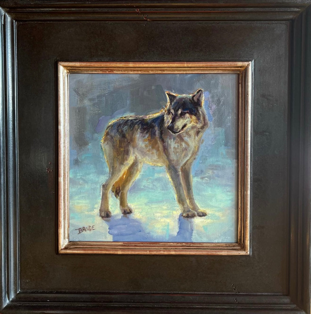 Backlit wolf Study - 10x10