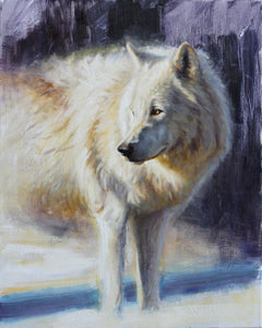 Arctic Wolf - 20x16