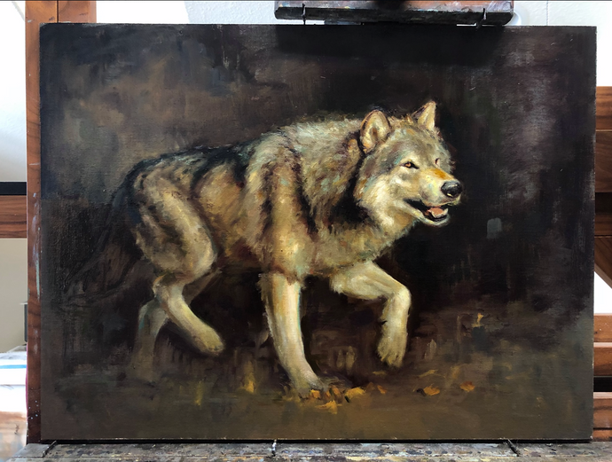 Majestic Wolf - 18x24 - Available at Montana Trails Gallery, Bozeman, MT