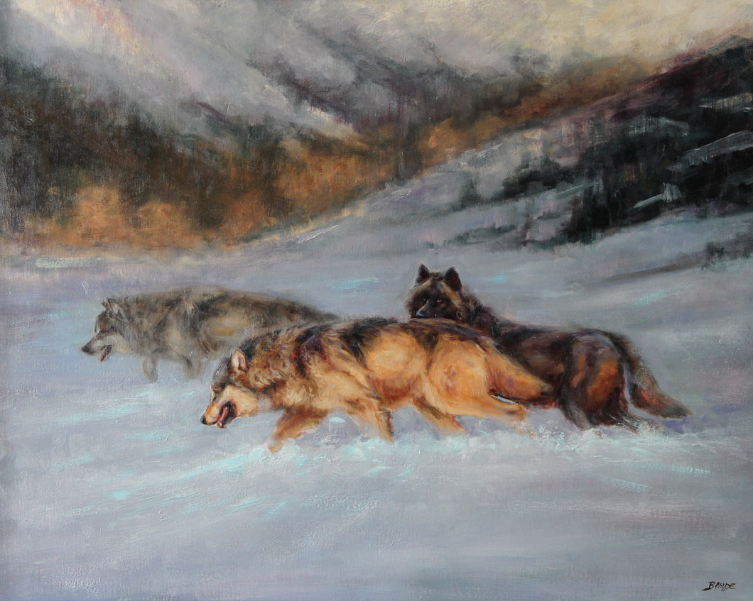 On the Hunt - 24x30 - Available at Montana Trails Gallery, Boseman, MT.
