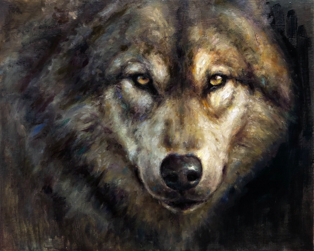 Timber Wolf Closeup -16x20 - Available at Montana Trails Gallery, Bozeman MT