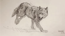 Load image into Gallery viewer, Original Pencil sketch - wolf in motion gesture - 5.5X11