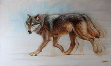 Load image into Gallery viewer, The Traveller