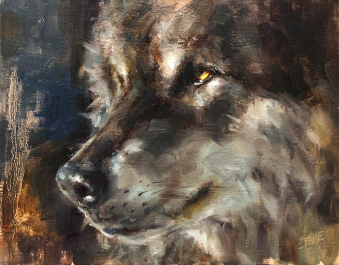 The Wolf Soul-Close up - oil on linen - 11x14 - Framed. - 2019