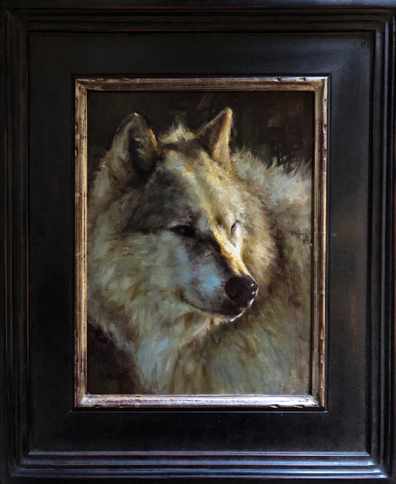 White Wolf portrait - 16x12