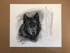 Black wolf portrait charcoal - 14x18
