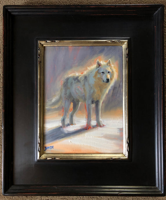 White wolf - 12x9 - framed